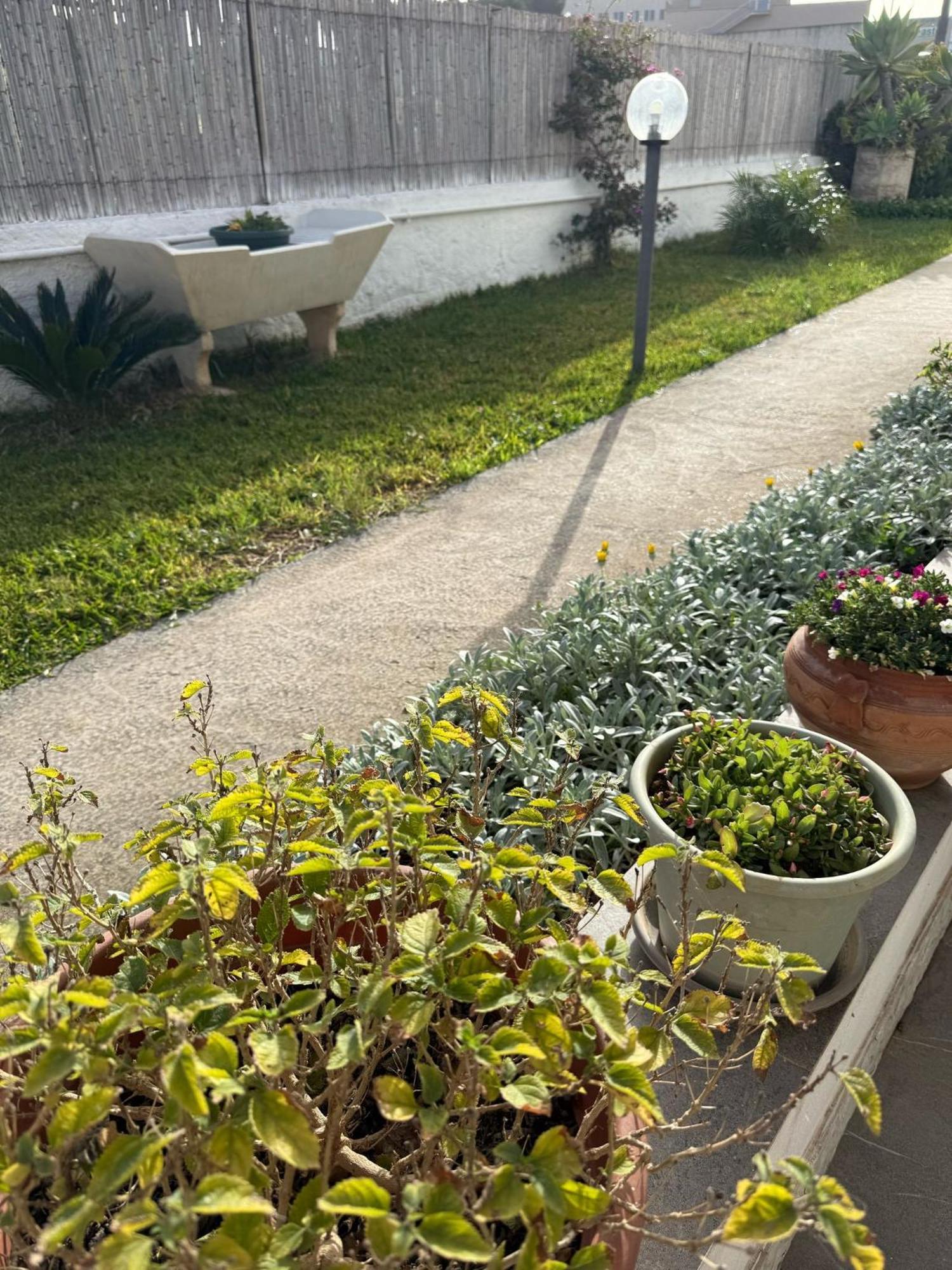 A Casa Di Coso B&B 马尔萨拉 外观 照片
